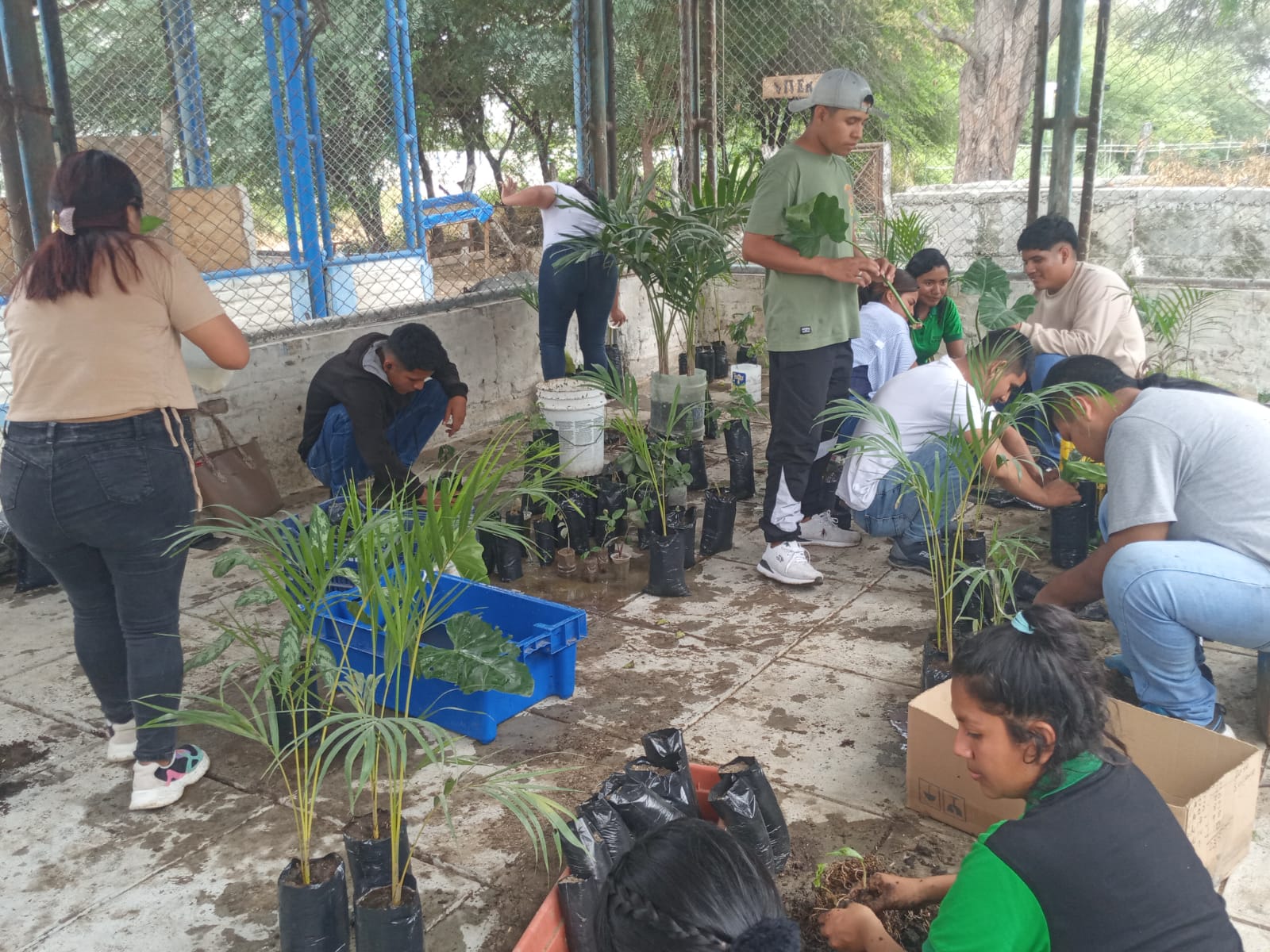 Producción Agropecuaria